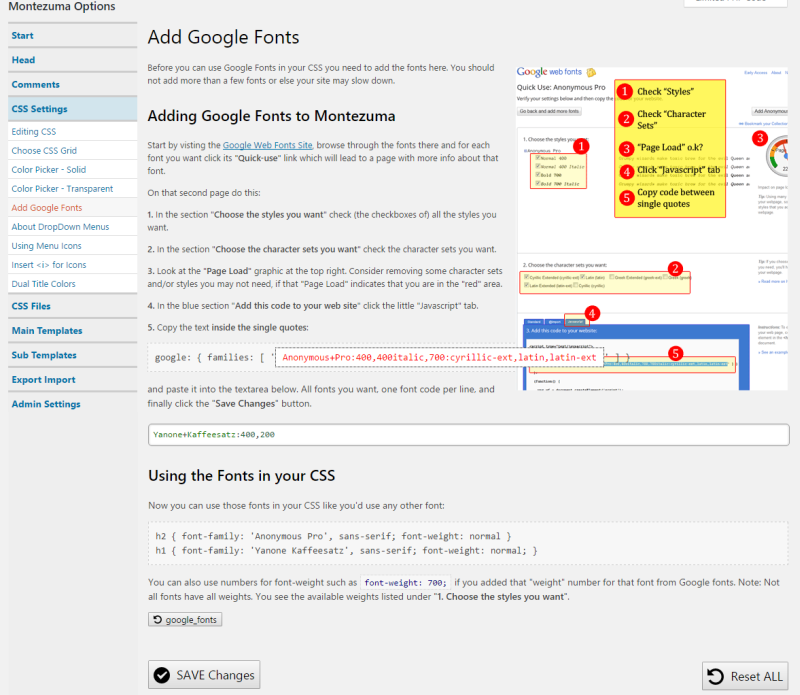 Montezuma Theme Options panel.