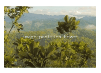 image position hover CSS animations