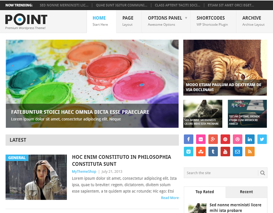 customize the point wordpress theme with csshero point theme
