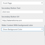 Edge theme slider options