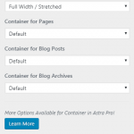 Astra WP theme container settings